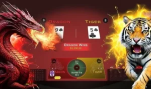 Dragon Tiger tại XIN88